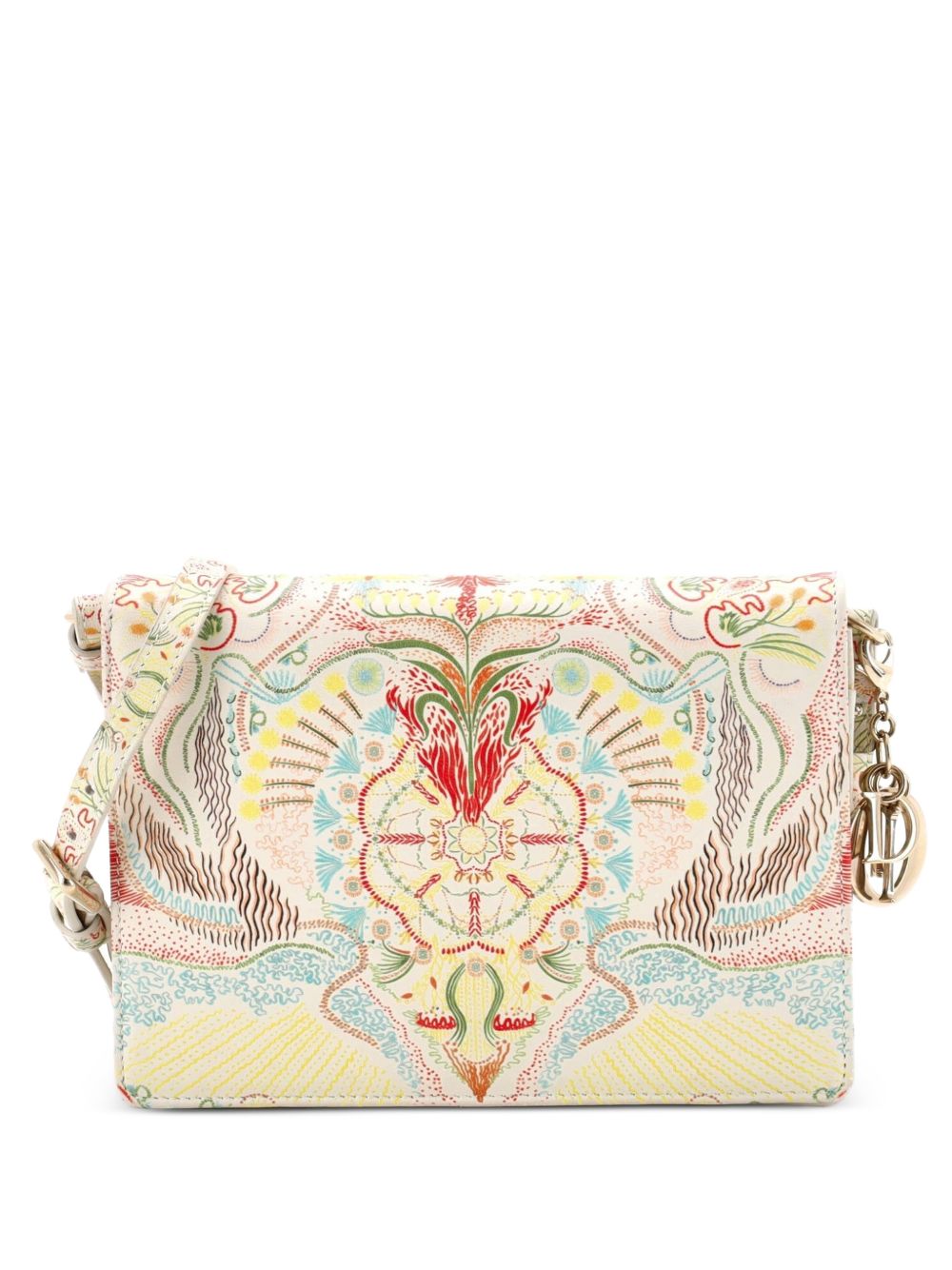 Dior Lady Dior Wallet on Chain Pouch Printed Leather crossbody bag