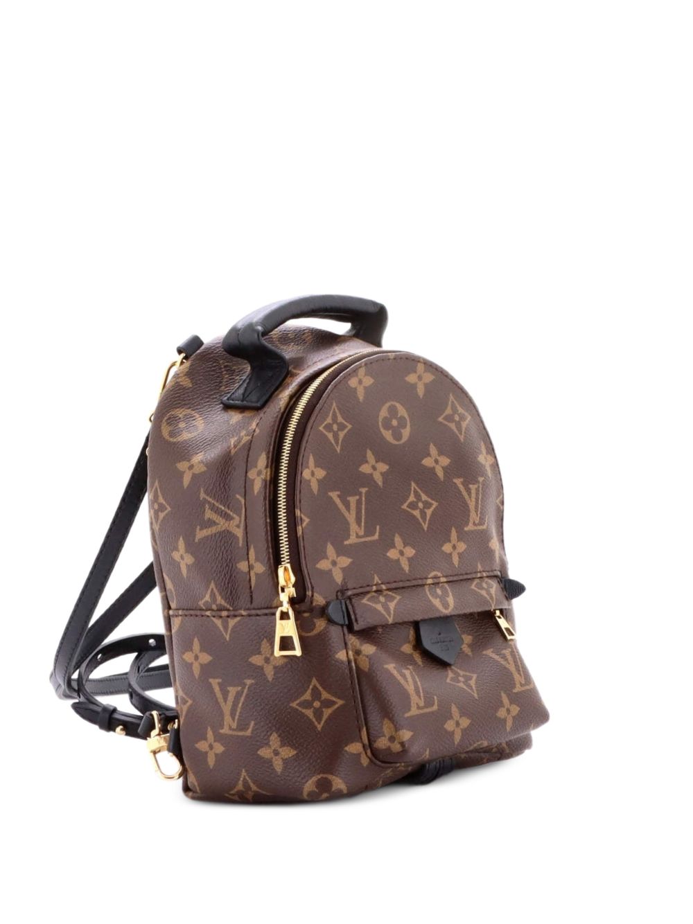 Palm Springs Monogram Canvas Mini backpack