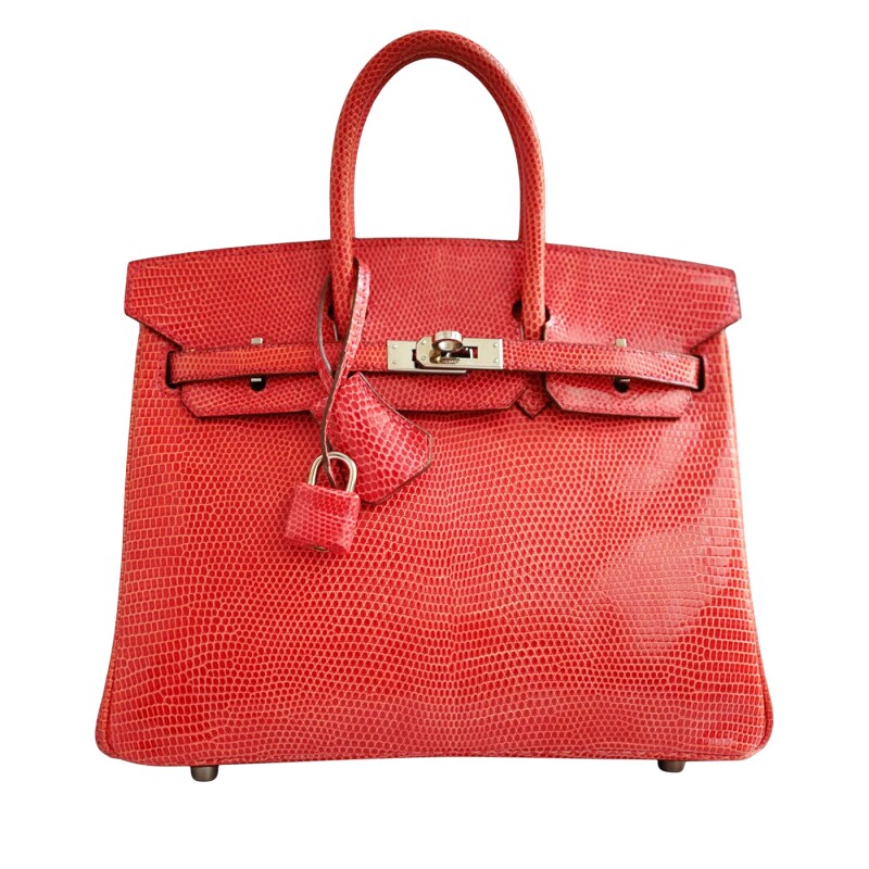 Hermes Bougainvillea Lizard Birkin 25 Palladium Hardware, 2014
