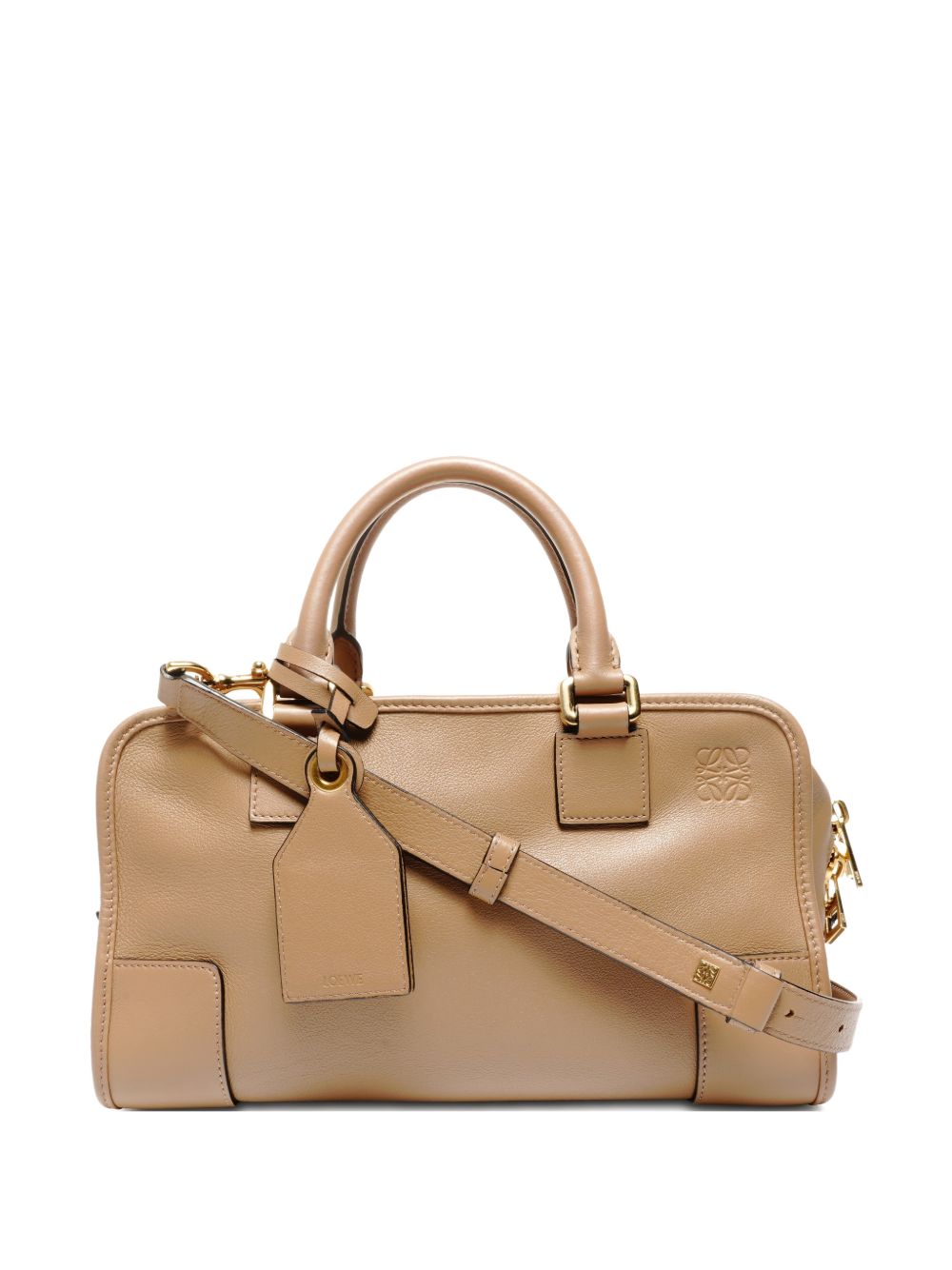 2010-2025 28 Amazona leather tote bag
