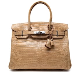 Hermes Poussiere Shiny Porosus Crocodile Birkin 30 Palladium Hardware, 2006