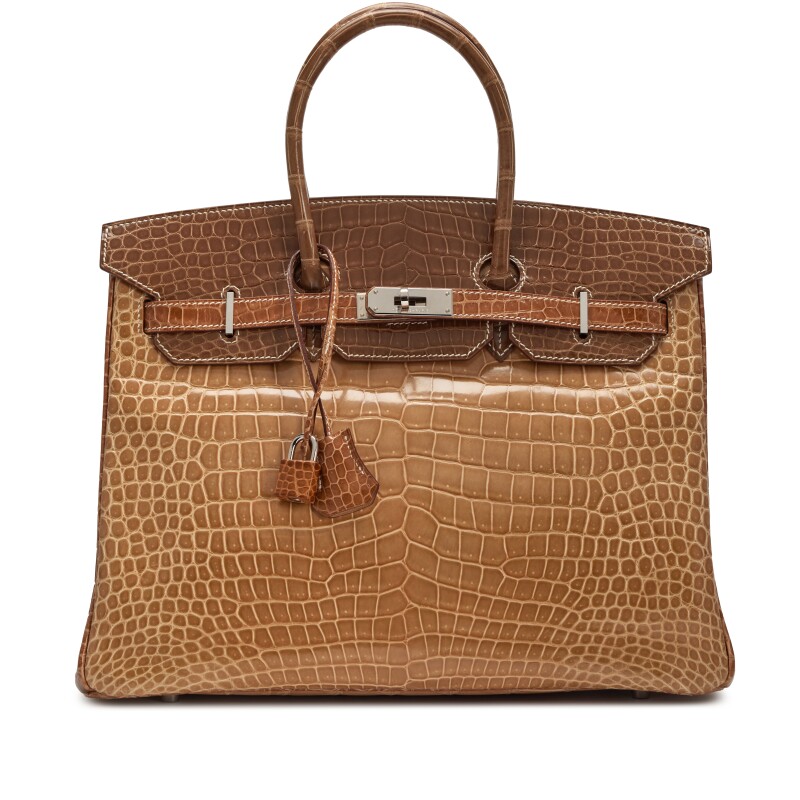Hermes Poussiere, Poudre and Ficelle Tri-Color Shiny Porosus Crocodile Birkin 35 Palladium Hardware, 2007