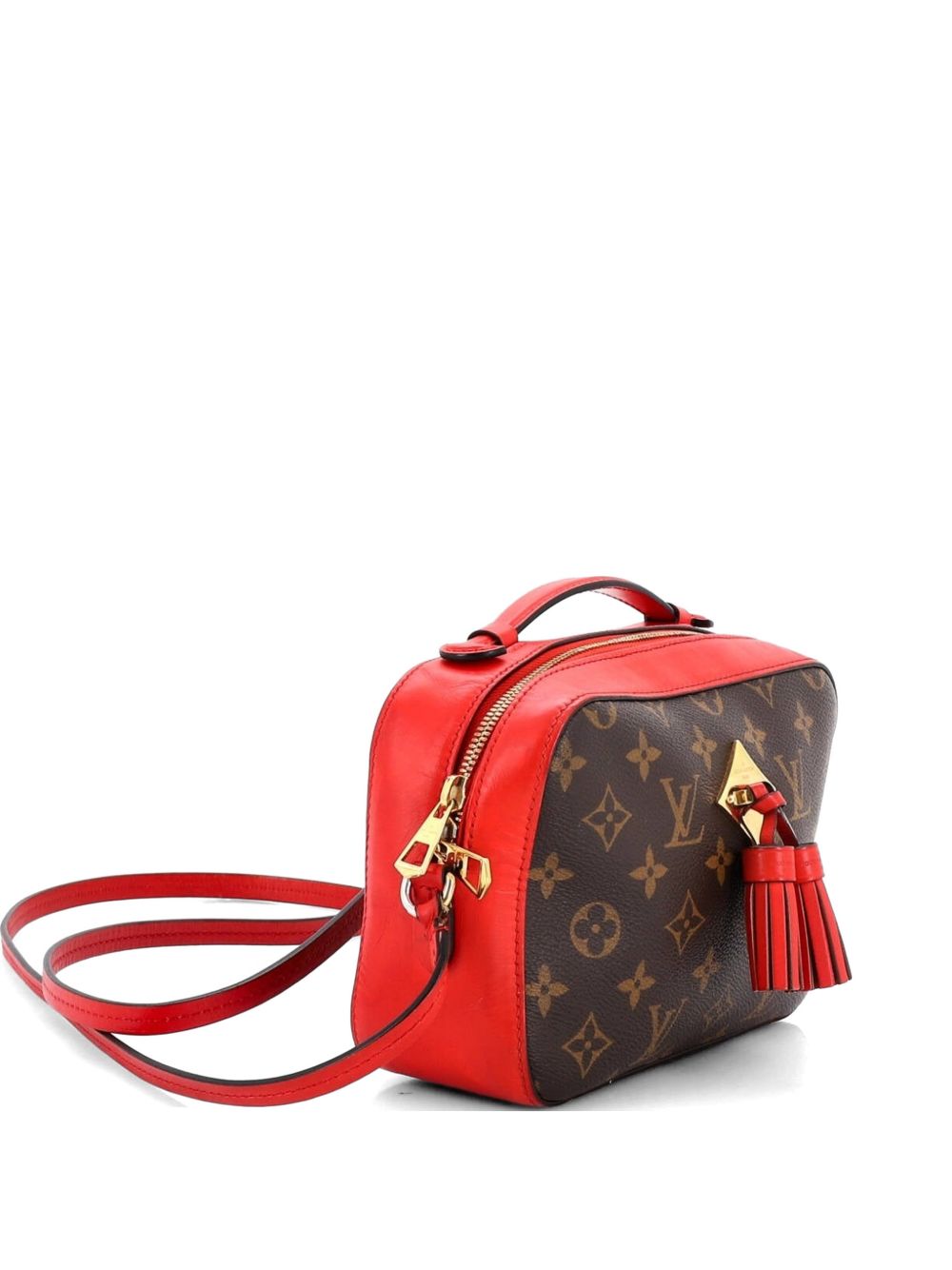 Saintonge Handbag Monogram Canvas with Leather crossbody bag
