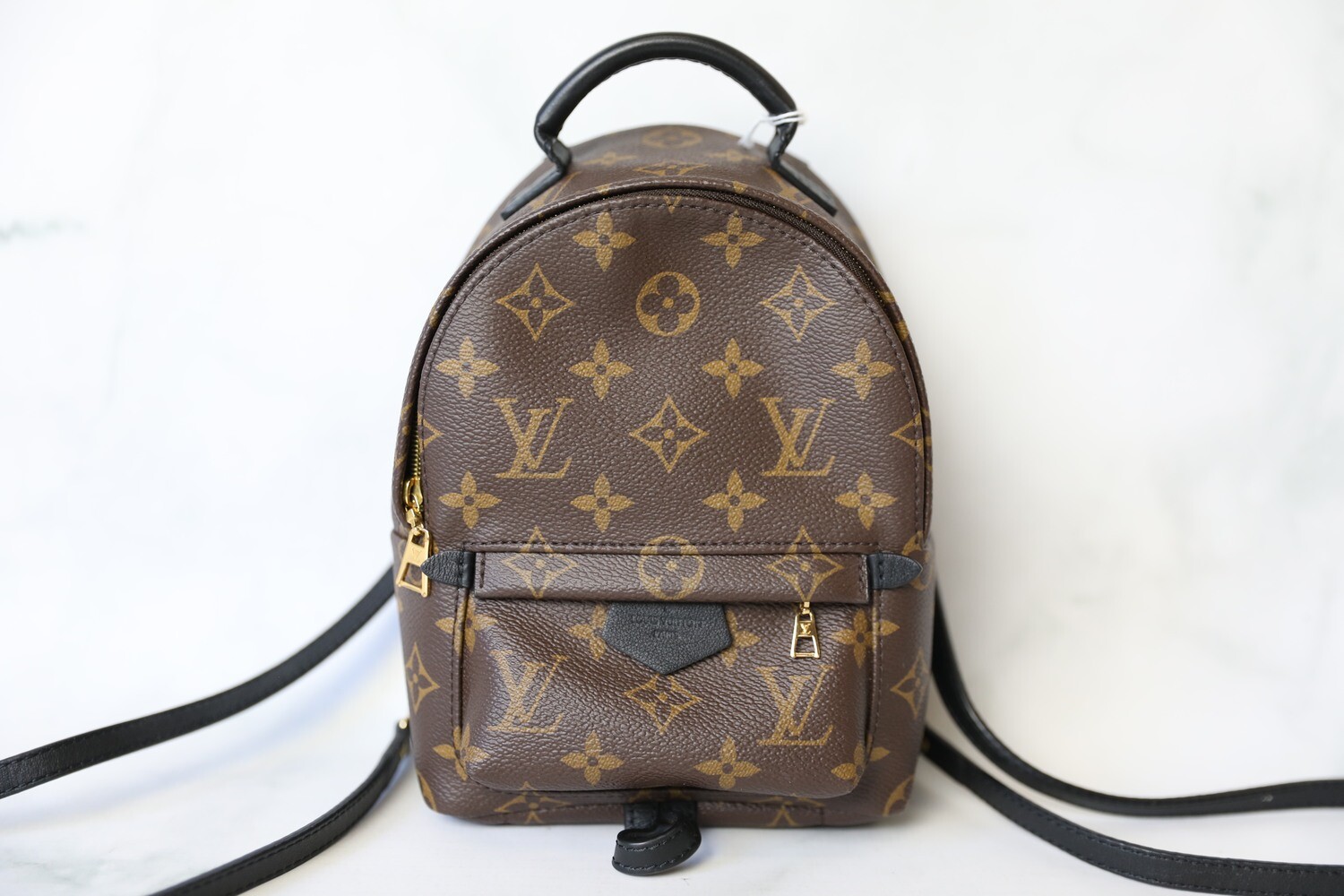 Louis Vuitton Louis Vuitton Palm Springs Mini Backpack, Monogram, Preowned No Dustbag MA001