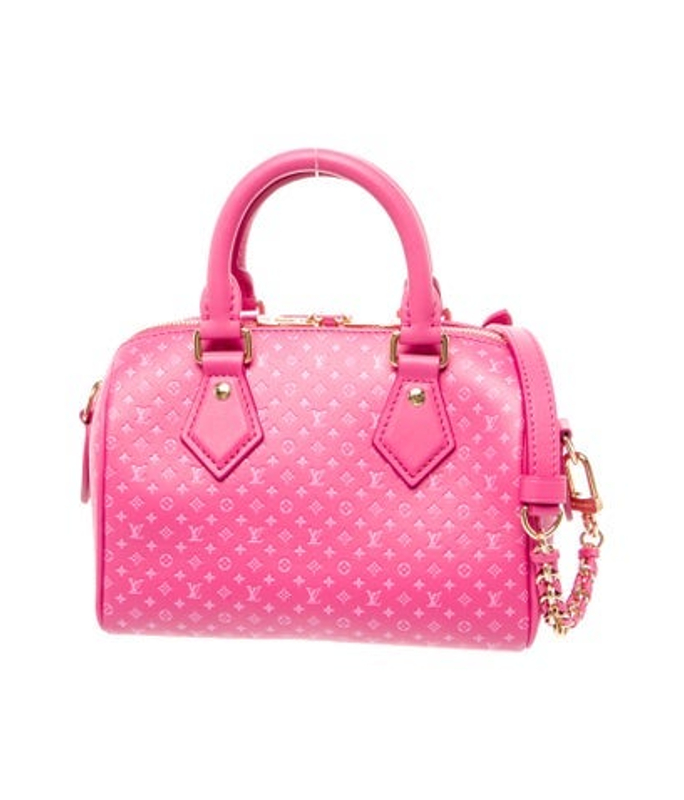 Louis Vuitton Vuitton Lv Nanogram Speedy Bandouliere 20