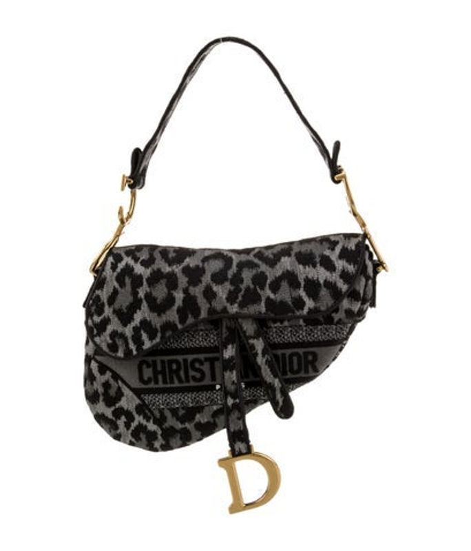 Dior Dior Canvas Saddle