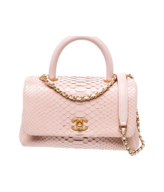 Chanel Python Mini Coco Handle Flap Bag