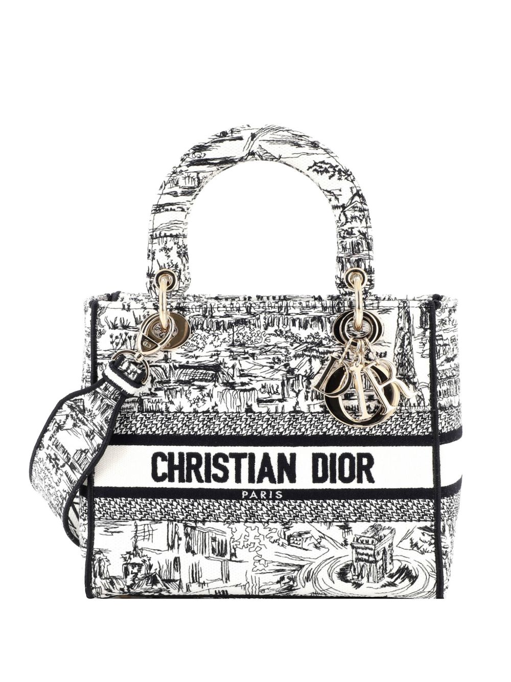 Dior Lady D-Lite Bag Embroidered Canvas Medium satchel