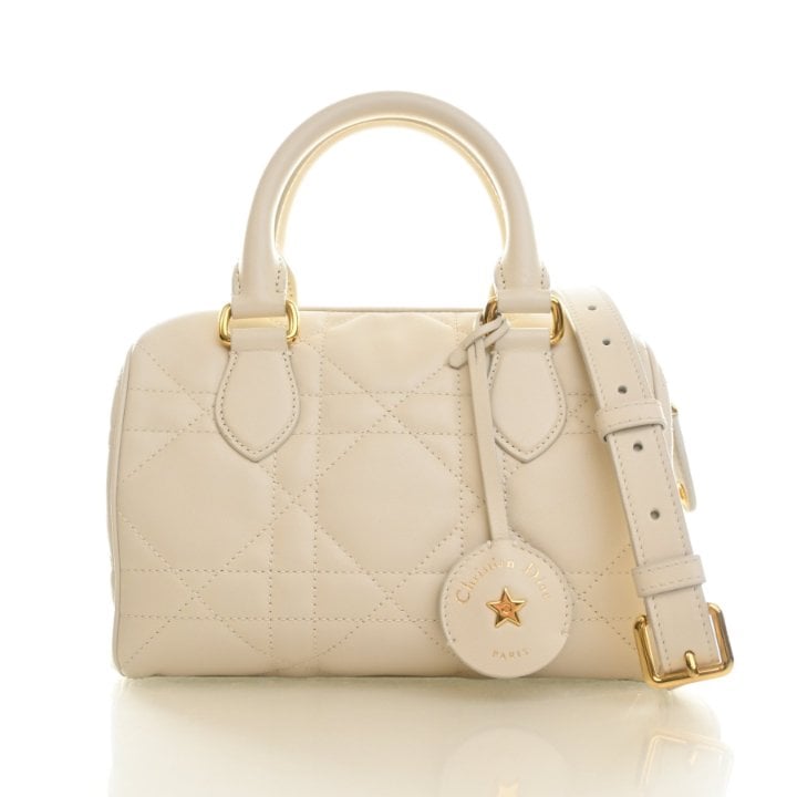 Christian Dior Calfskin Groove 20