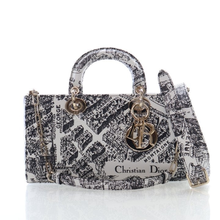 Christian Dior Medium Calfskin Plan De Paris Lady D-Joy