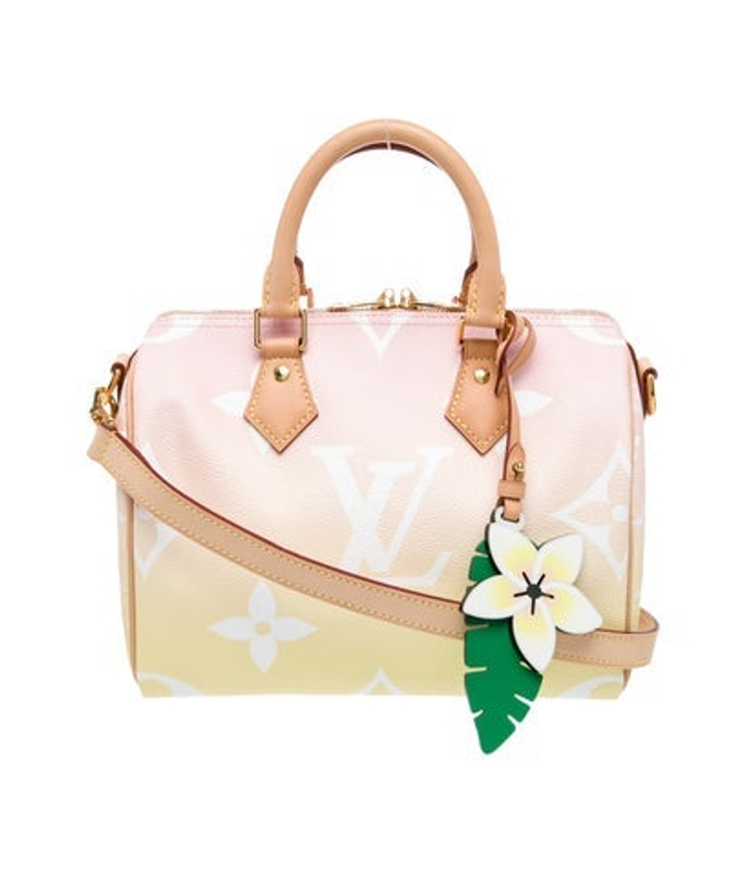 Louis Vuitton Vuitton Monogram Giant Speedy Bandouliere