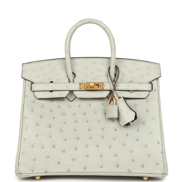 Hermes Hermes Special Order (HSS) Birkin 25 Gris Perle Verso Ostrich Brushed Gold Hardware