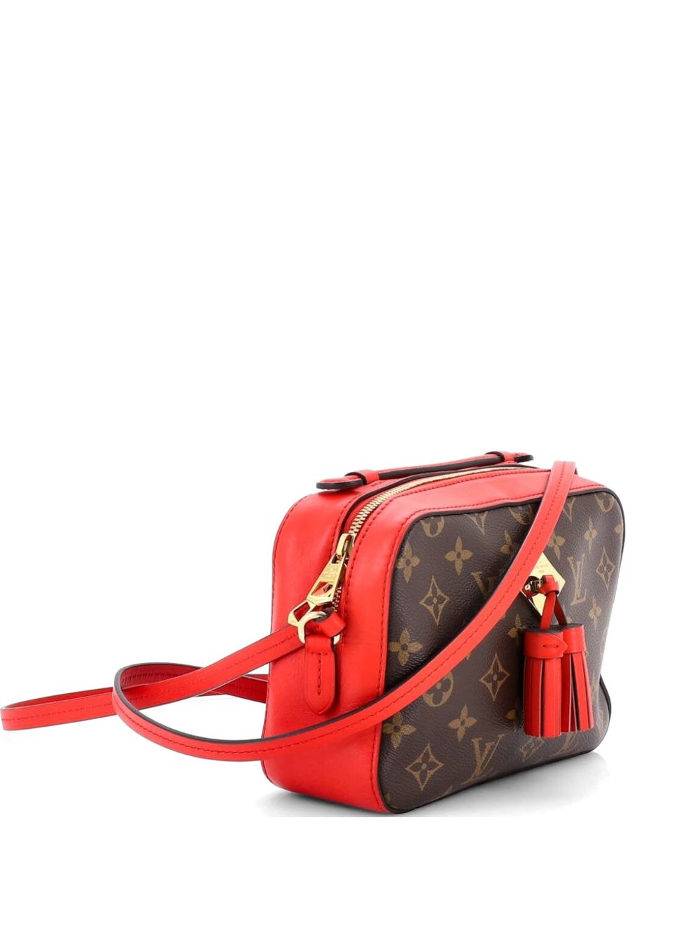 Saintonge Handbag Monogram Canvas with Leather crossbody bag