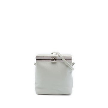 CC Metallic Calfskin Vanity Bag