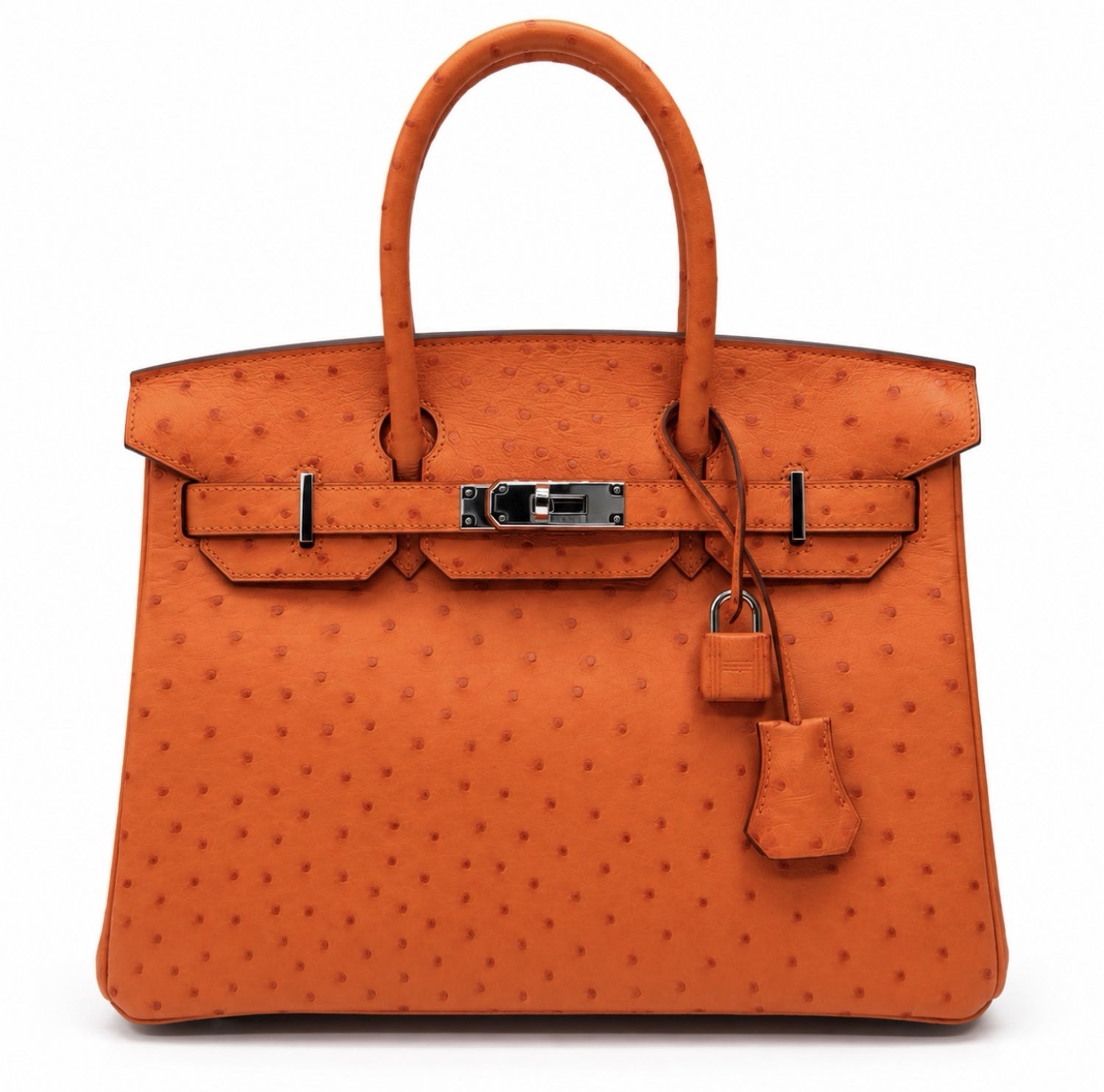 Ostrich Birkin 30