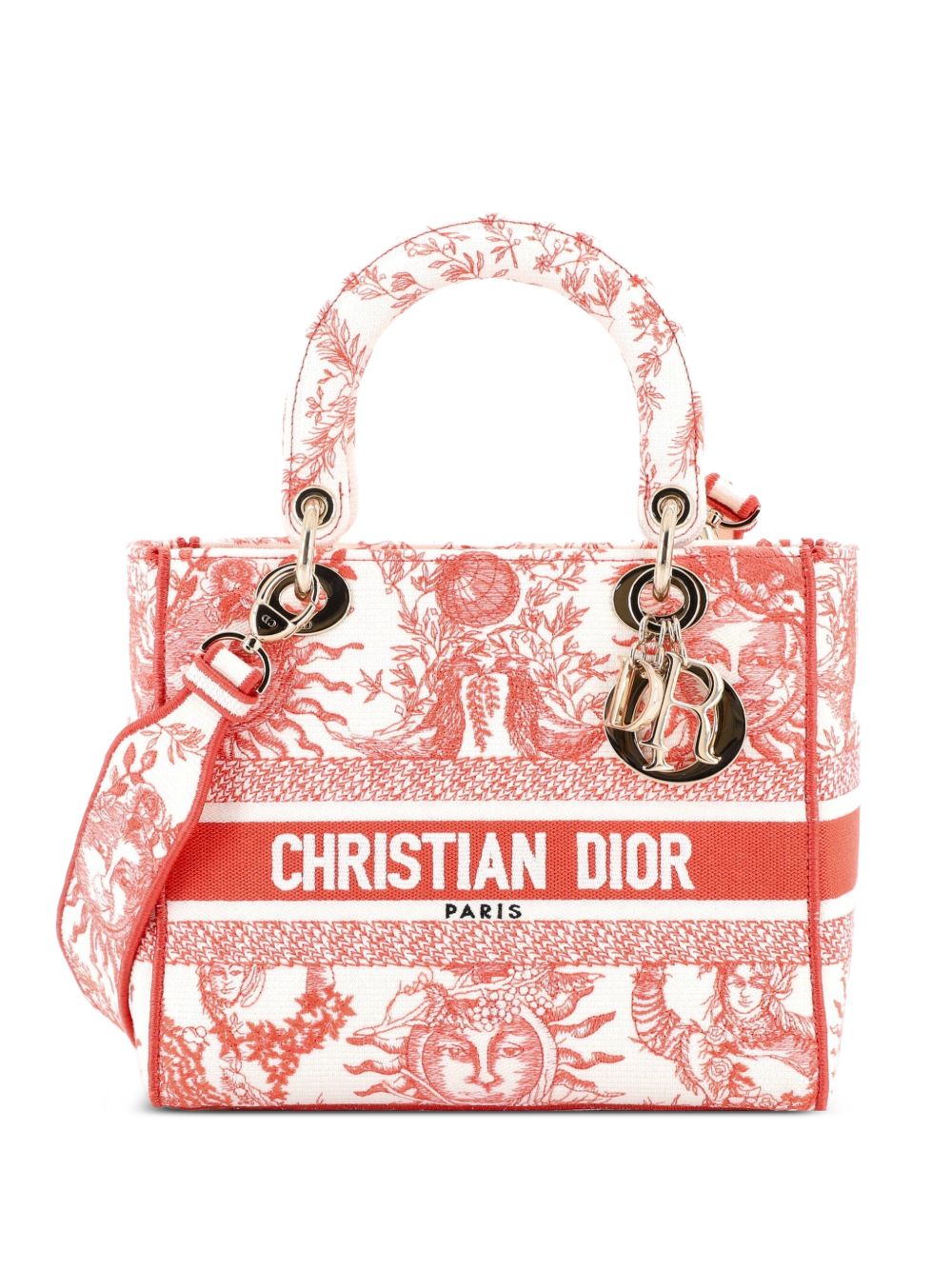Dior Lady D-Lite Bag Embroidered Canvas Medium satchel