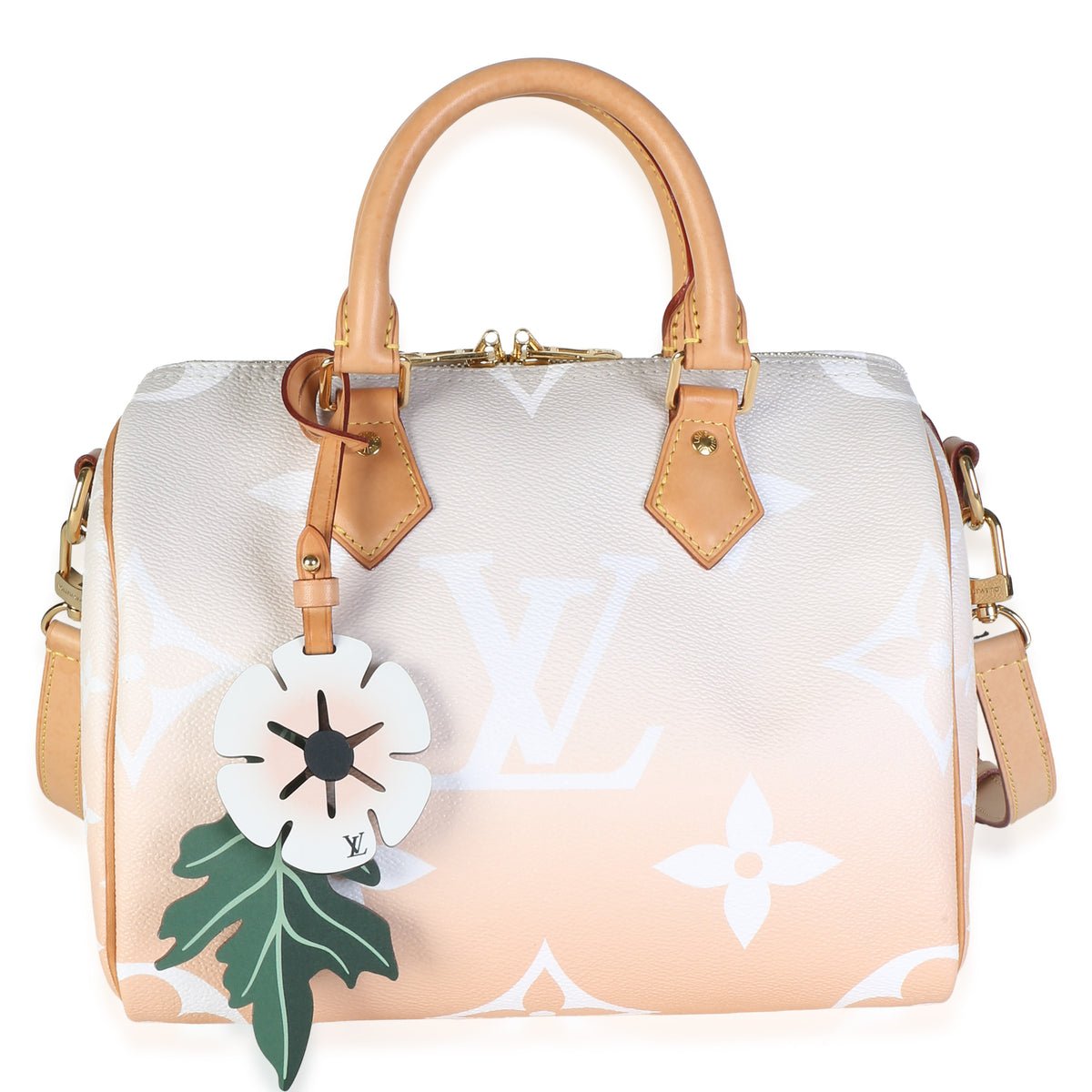Brume Monogram Giant By The Pool Canvas Speedy Bandouliere 25