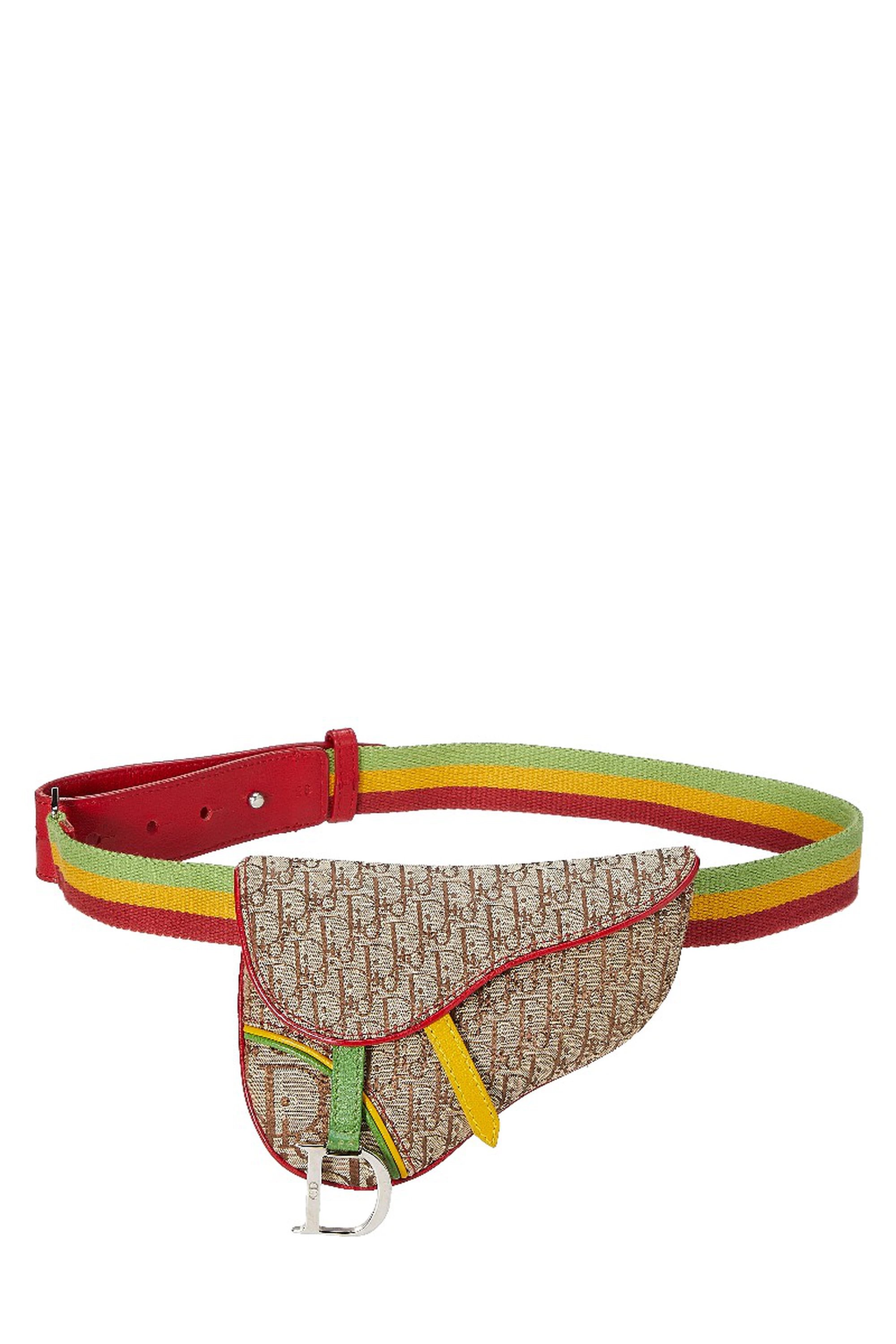 Multicolor Rasta Saddle Belt Bag Mini