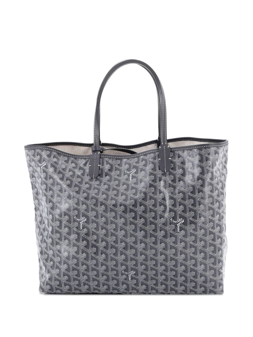 Saint Louis Coated Canvas PM tote bag