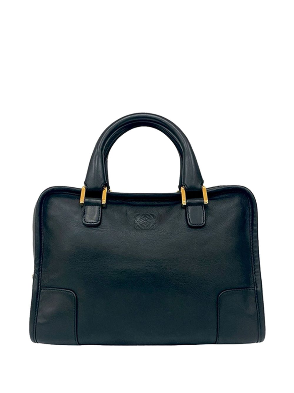 2010-2026 Goatskin Amazona 28 handbag