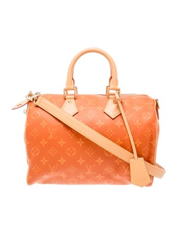 LV Monogram Brea 30 2024