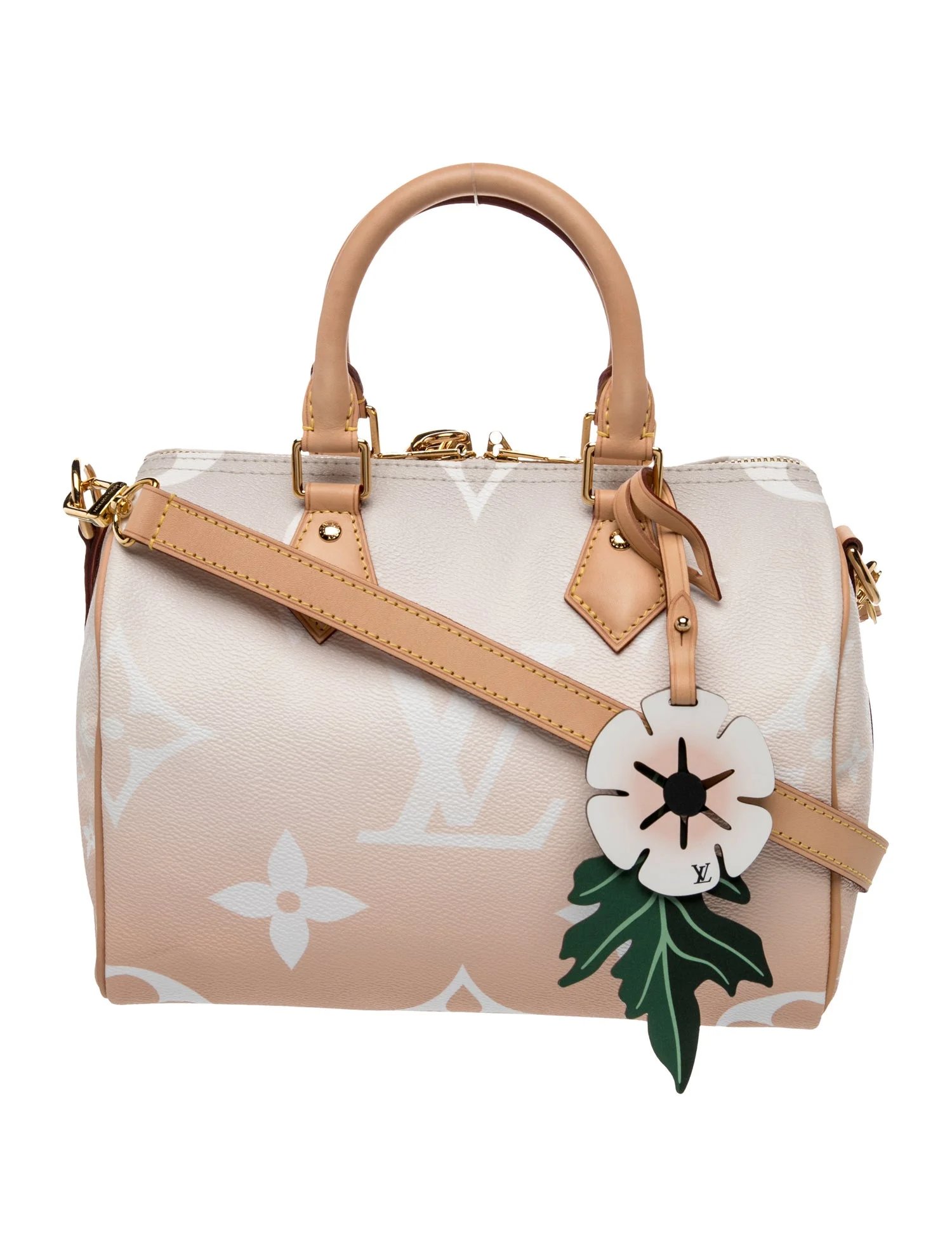 Monogram Giant Speedy Bandouliere 25