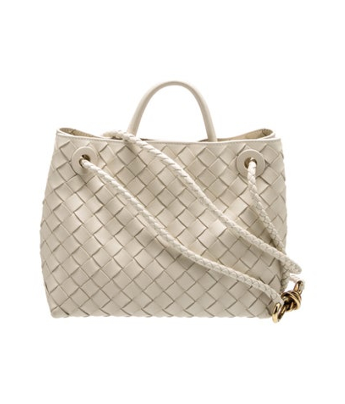 Bottega Veneta Veneta Intrecciato Andiamo Small