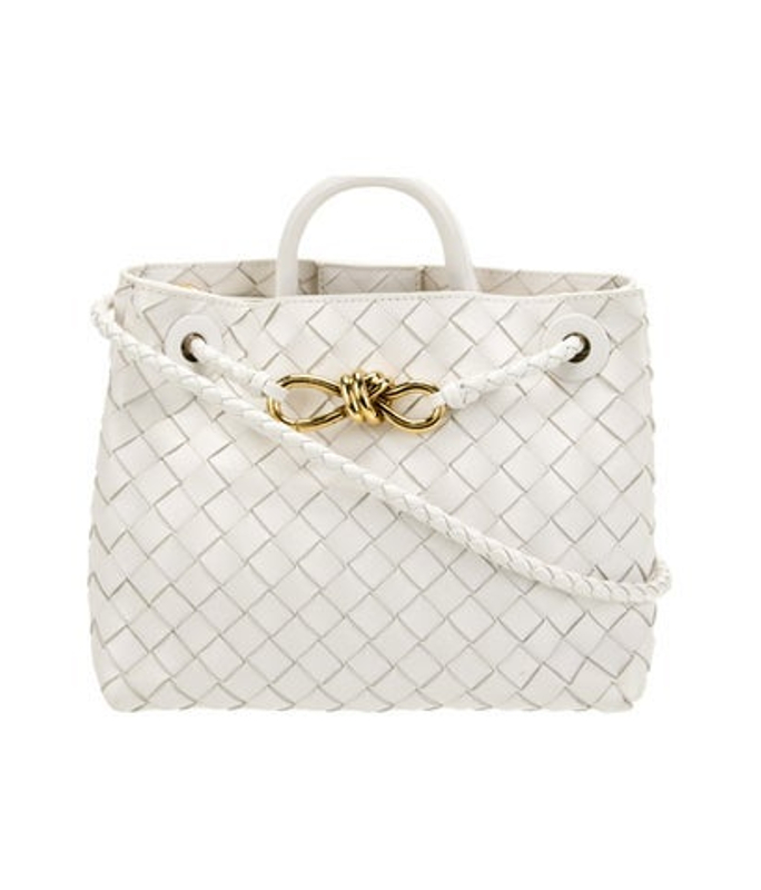 Bottega Veneta Veneta Intrecciato Andiamo Small
