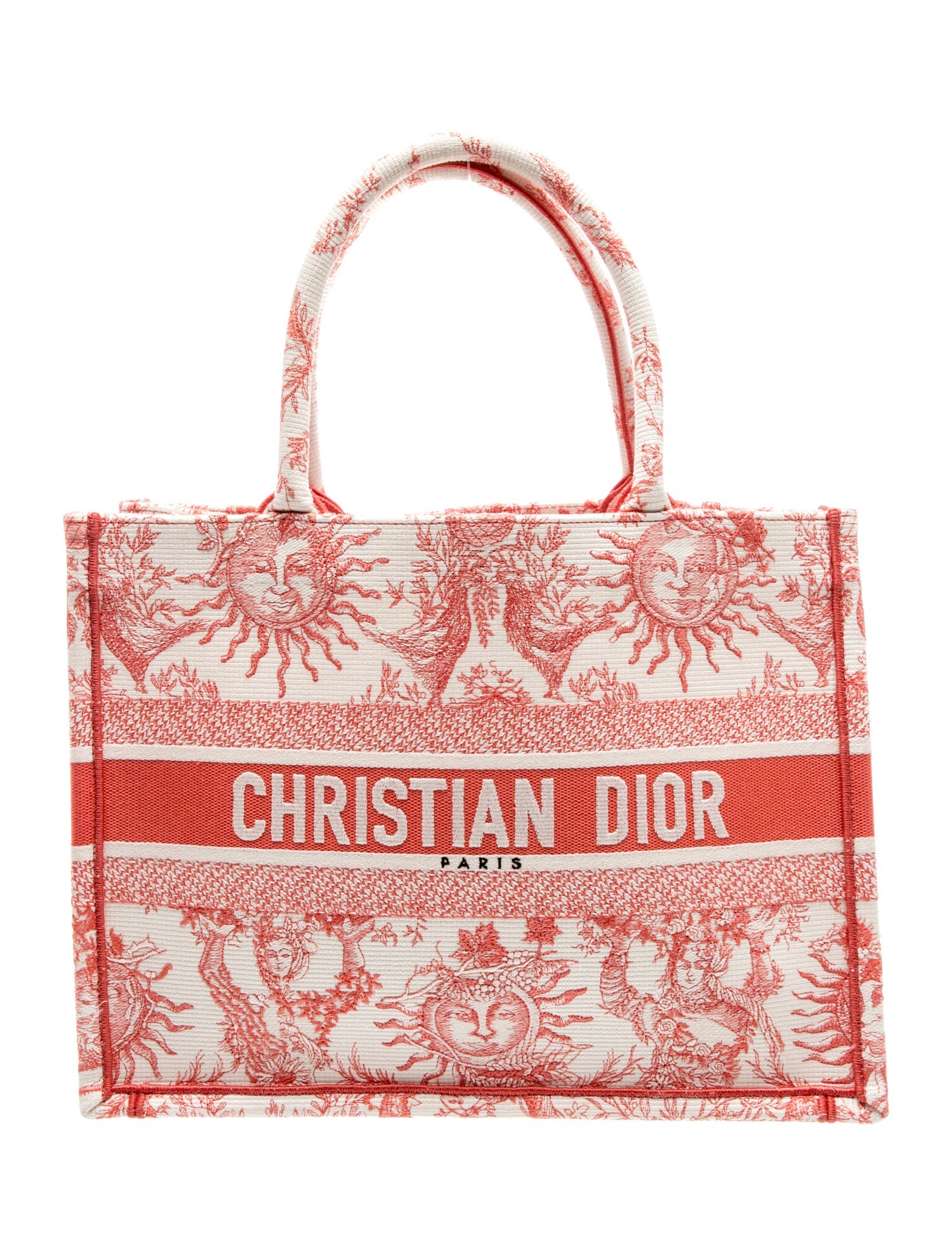Dior Canvas Book Medium 2024