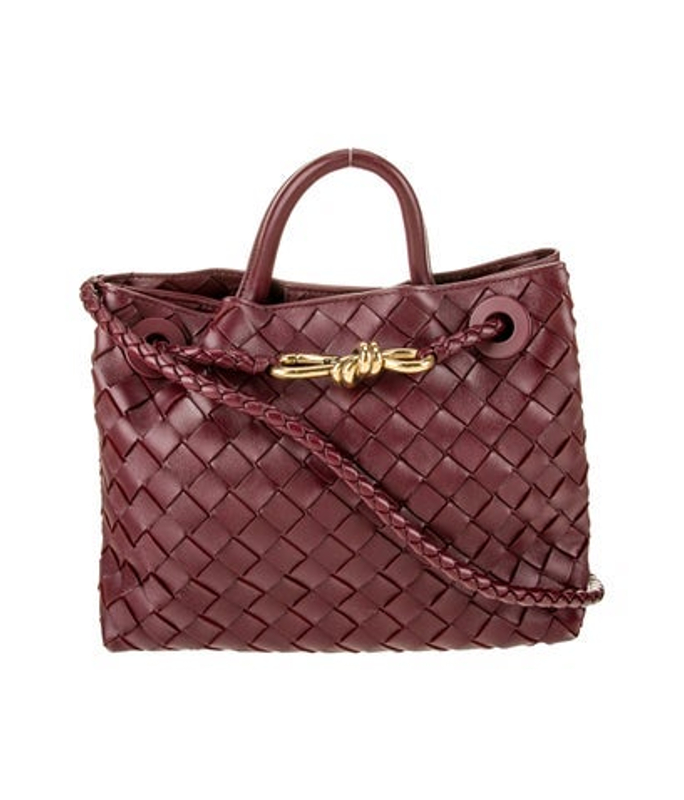Bottega Veneta Veneta Intrecciato Andiamo Small