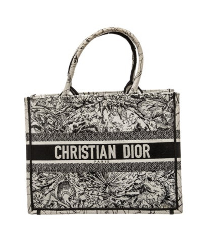 Dior Dior Canvas Book Medium