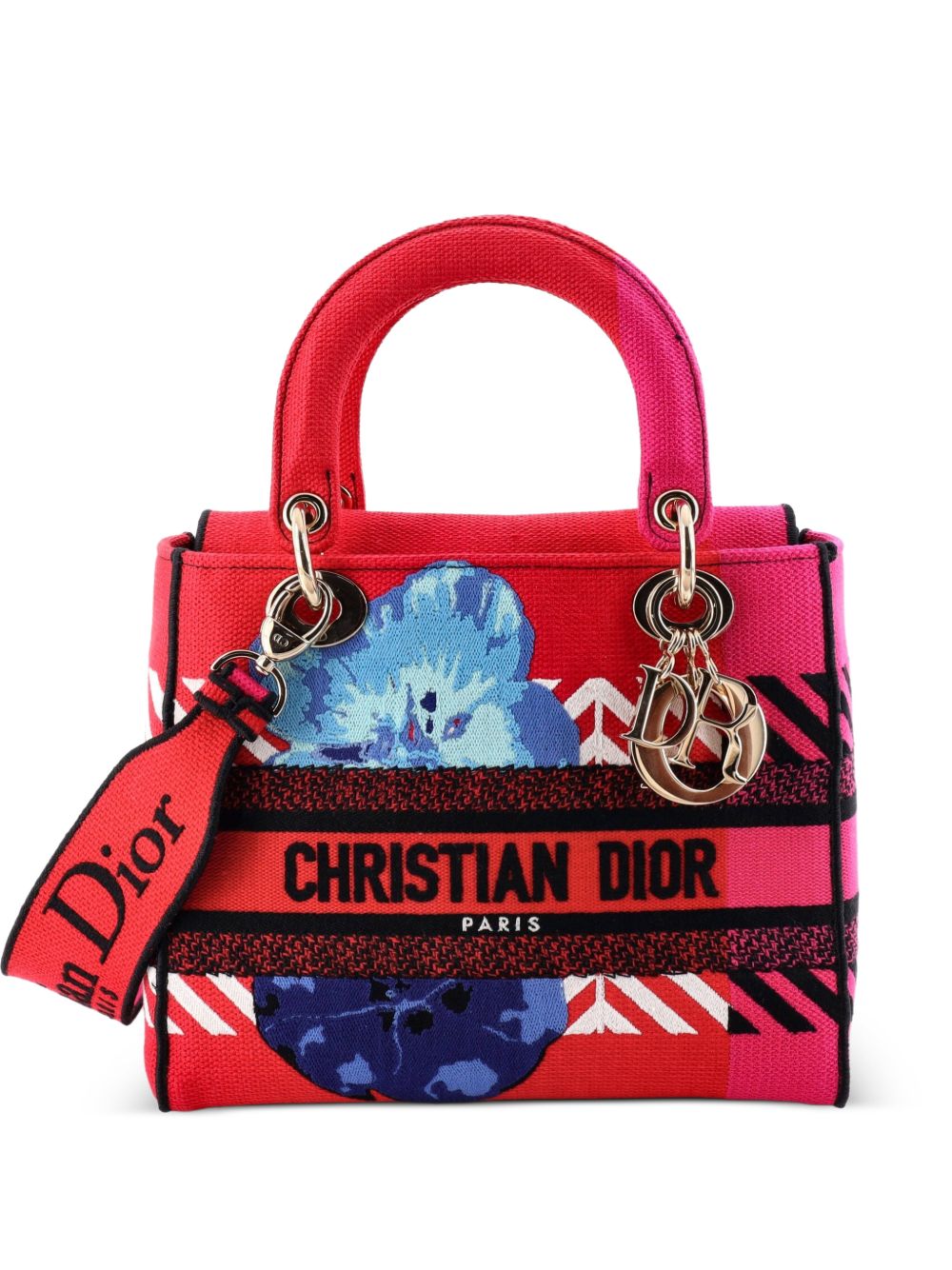 Lady D-Lite Bag Embroidered Canvas Medium satchel