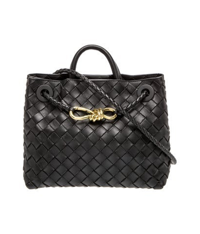 Bottega Veneta Veneta Leather Andiamo Small