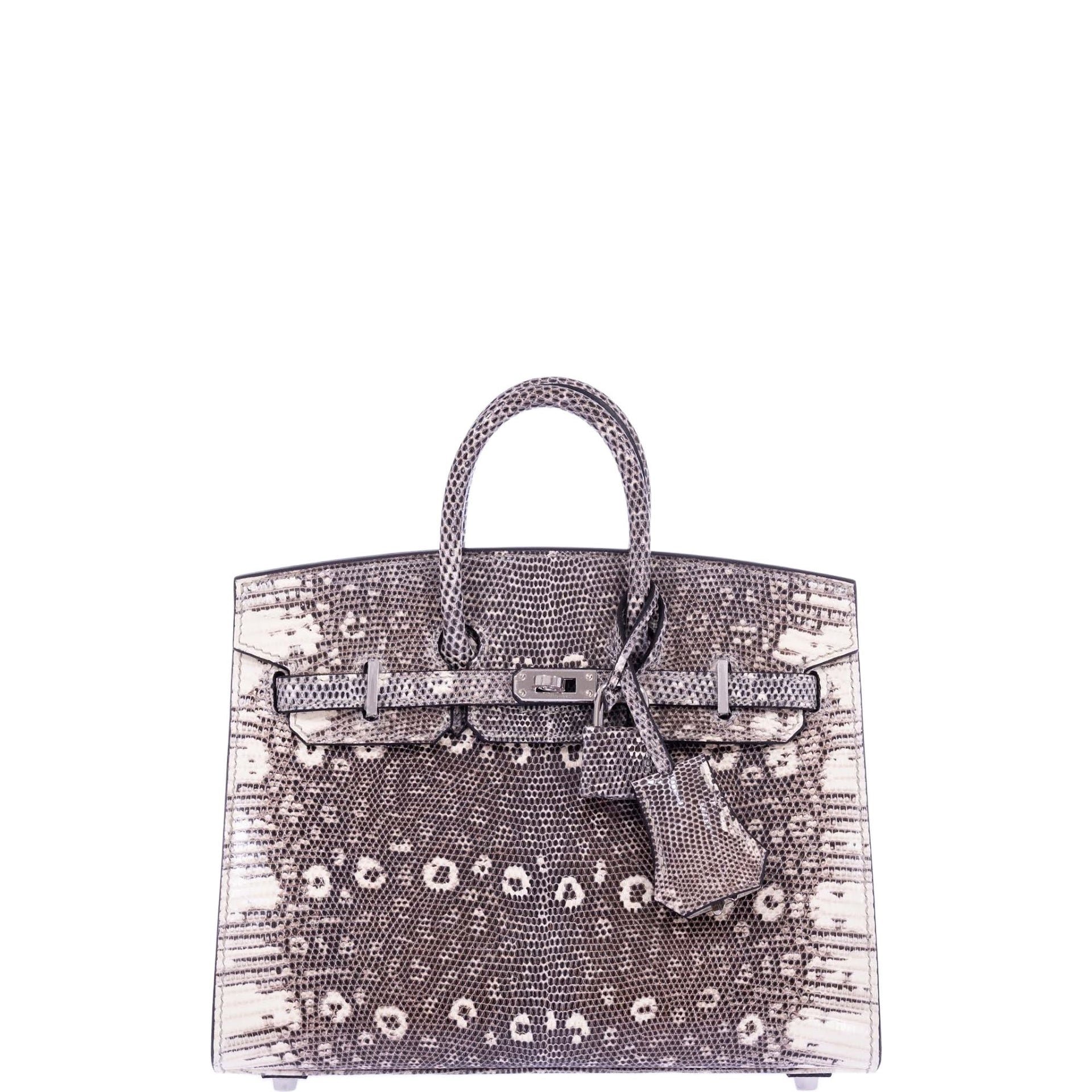 Hermes Hermès Birkin 20 Sellier Ombré Varanus Salvator Lizard Palladium Hardware