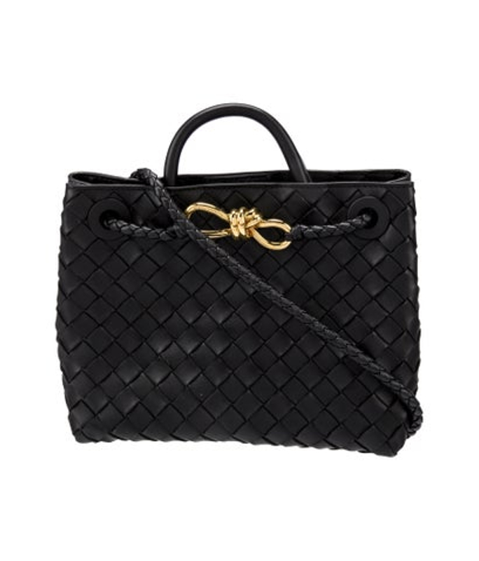 Bottega Veneta Veneta Intrecciato Andiamo Small