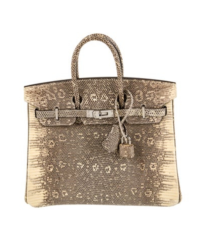 Hermes Varanus Salvator Lizard Birkin 25
