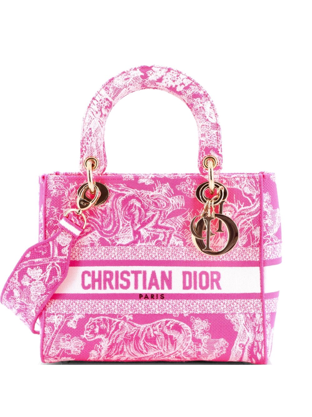 Lady D-Lite Bag Embroidered Canvas Medium satchel