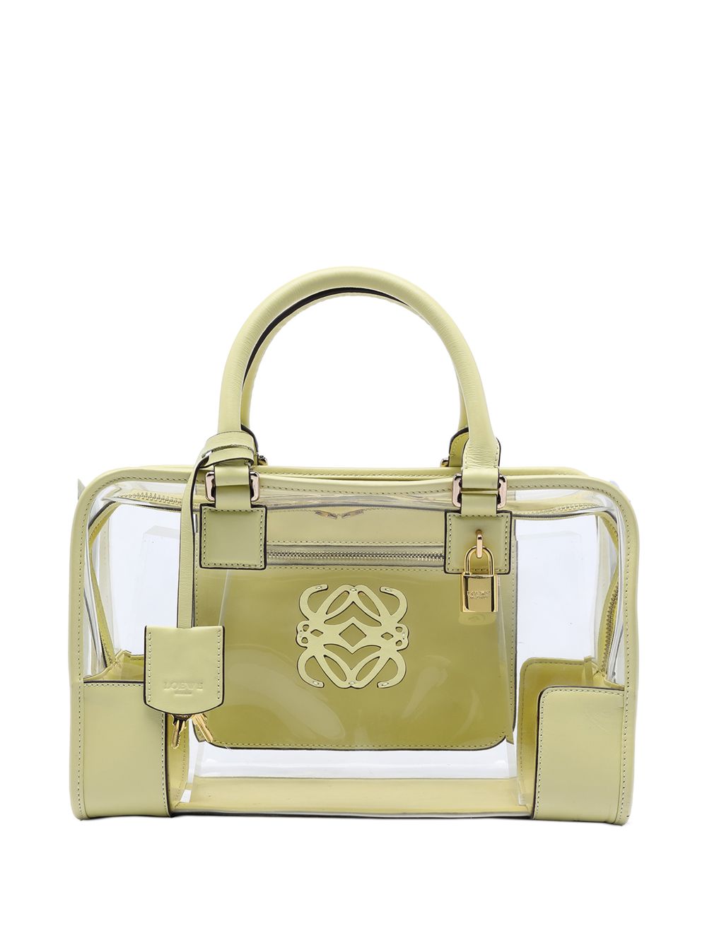 2010-2025 Vinyl Amazona handbag