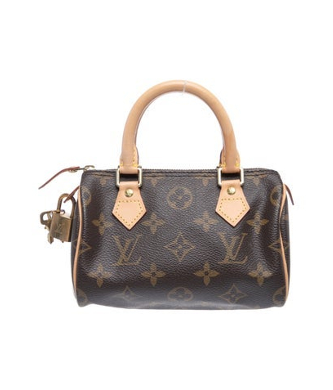 Louis Vuitton Vuitton Lv Monogram Speedy Hl