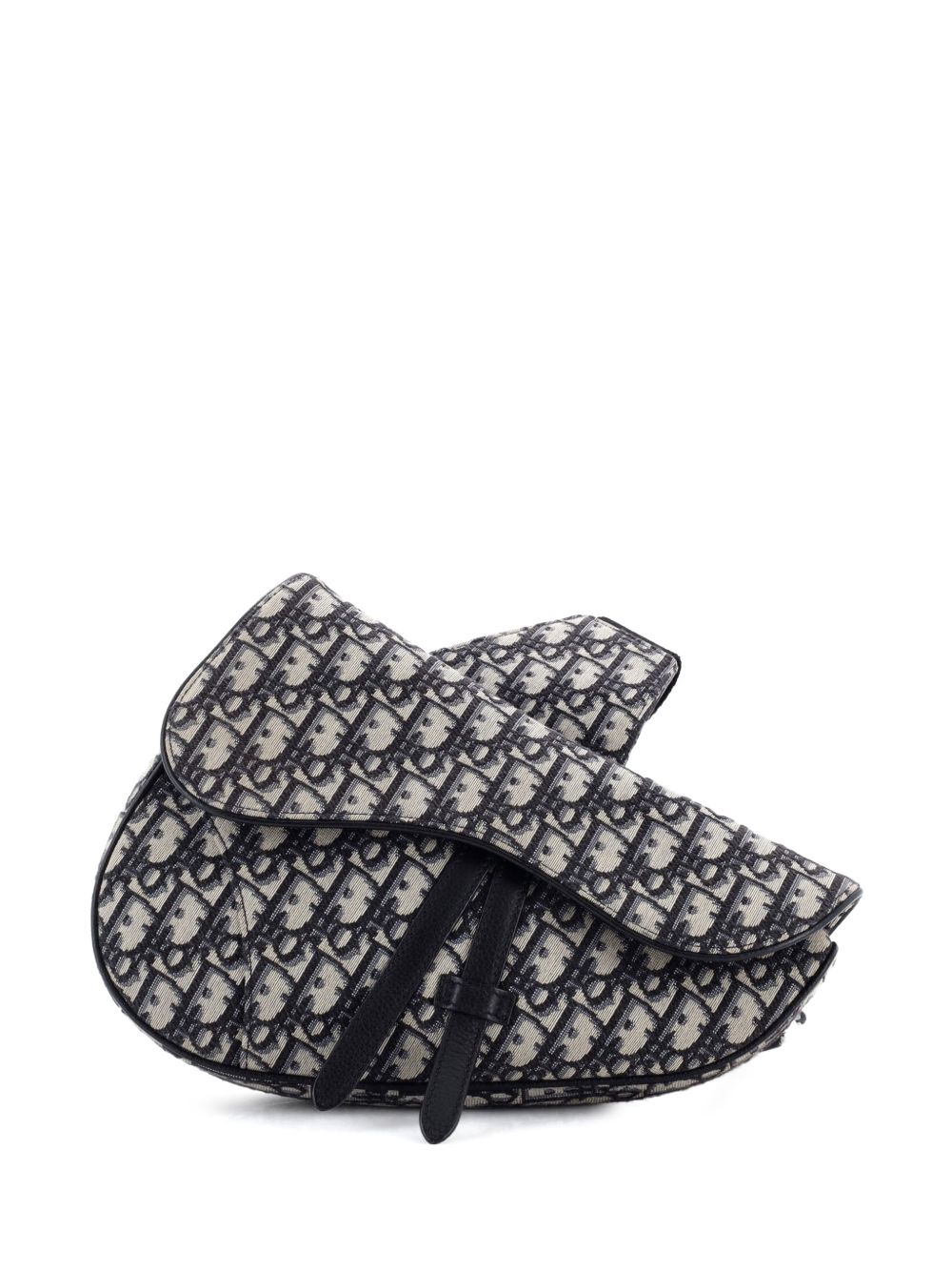 Saddle Oblique Canvas crossbody bag