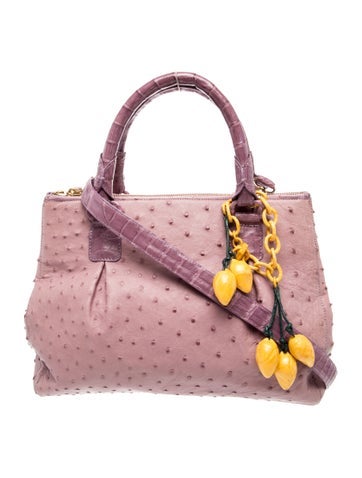 Ostrich Top Handle Bag
