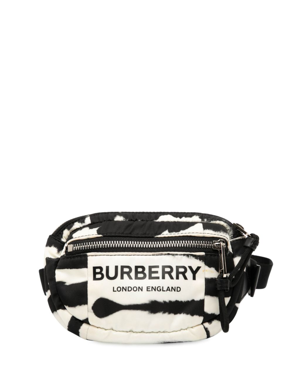 2010-2025 Zebra Print Nylon Logo Cannon belt bag