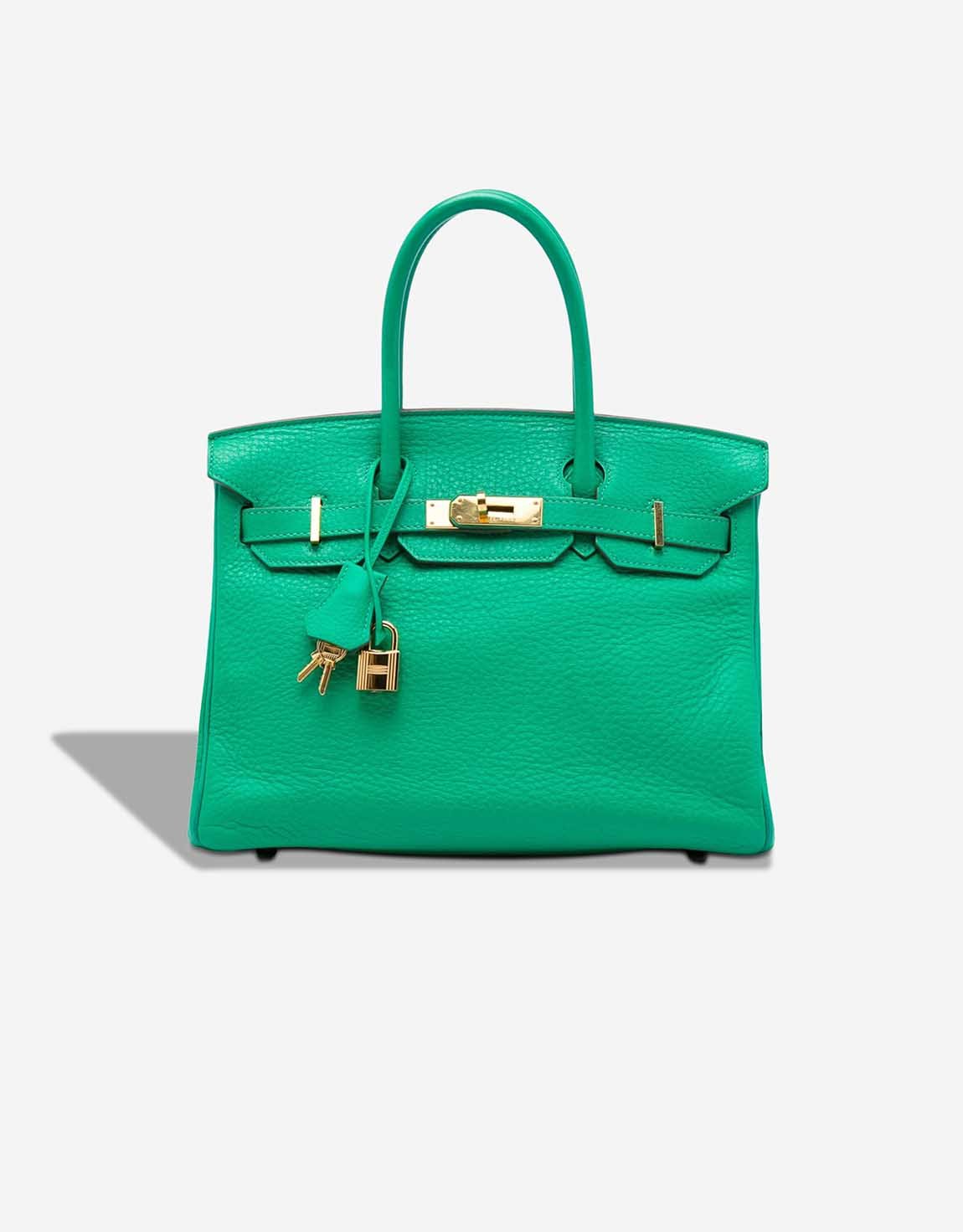
		Birkin 30 Clémence Bambou    