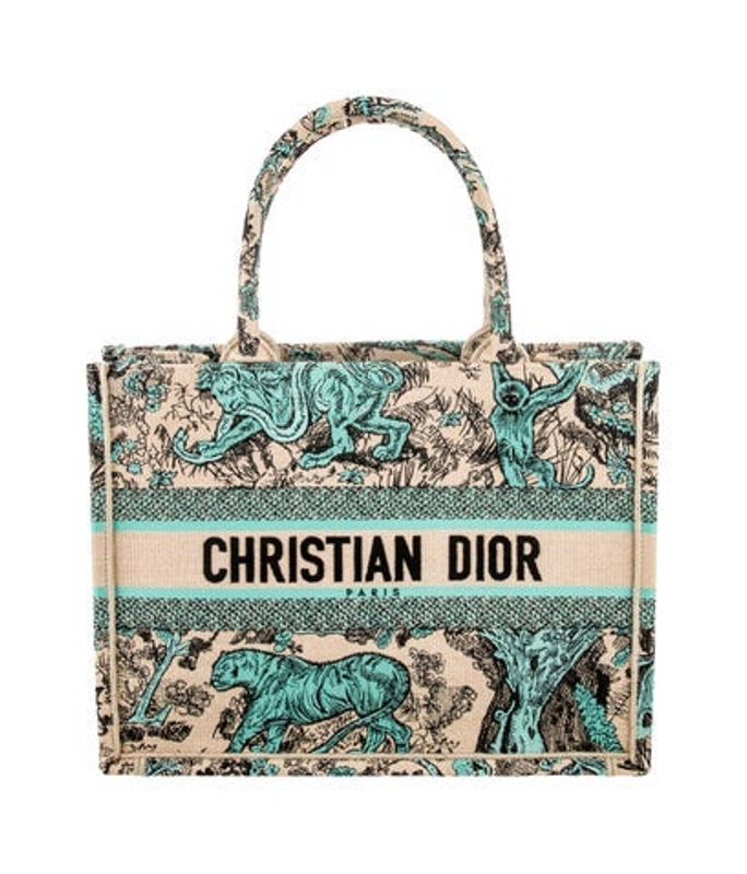 Dior Dior Canvas Book Medium 2024