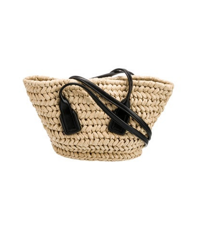 Bottega Veneta Veneta Raffia Arco Small