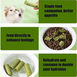 Cat Grass Teething Stick 6pcs Pack