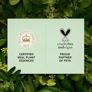 Herbal Essences Bio:Renew Clean White Strawberry & mint Shampoo 600ml  •