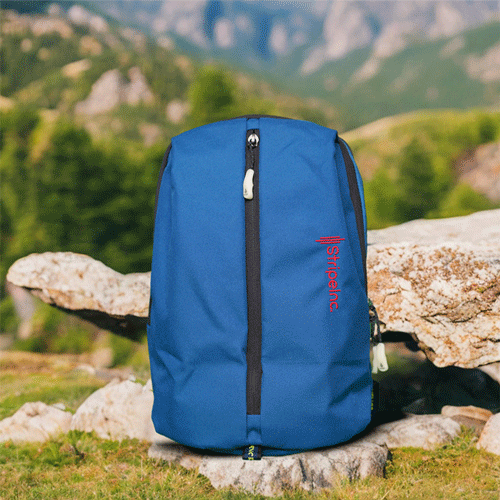 Stripelnc Exclusive Travel Backpack - Solid Dark Teal