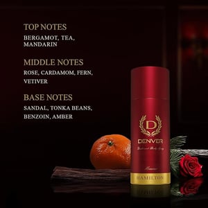 Denver Hamilton Deodorant Body Spary For Men 150ml - Honour •