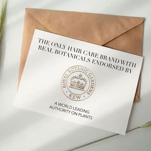 Herbal Essences Bio:Renew Arabica Coffee Fruit Volume Conditioner 400ml•